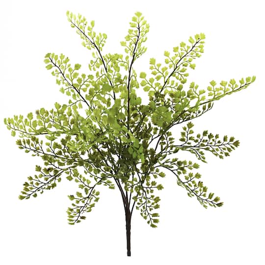Maiden Hair Fern Spray, 12ct.